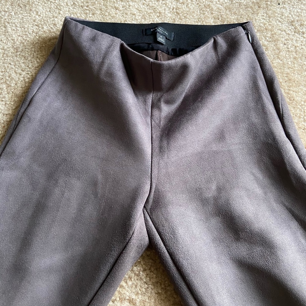 Ann Taylor faux suede leggings